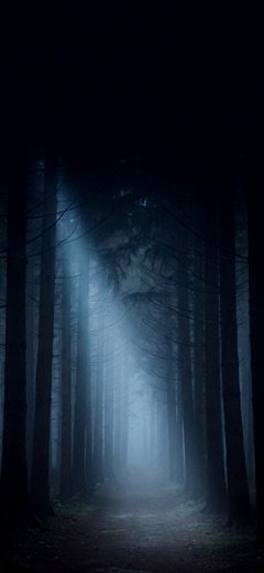 Misty Forest — one of the four permanently free wallpapers